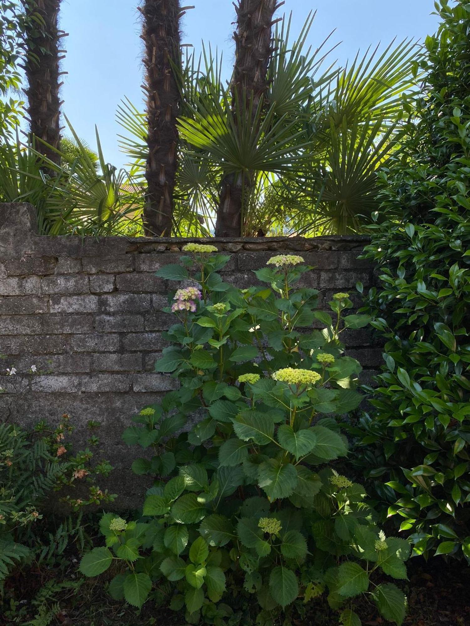 Casa Tranquilla Villa Cannobio Dış mekan fotoğraf